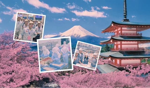 CÔNG TY TNHH NHÂN LỰC KHỞI NGHIỆP MANSTART