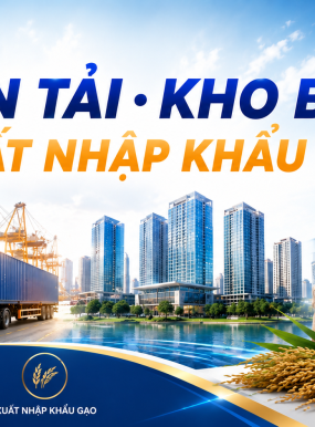 🚛 VẬN TẢI – KHO BÃI – XUẤT NHẬP KHẨU GẠO