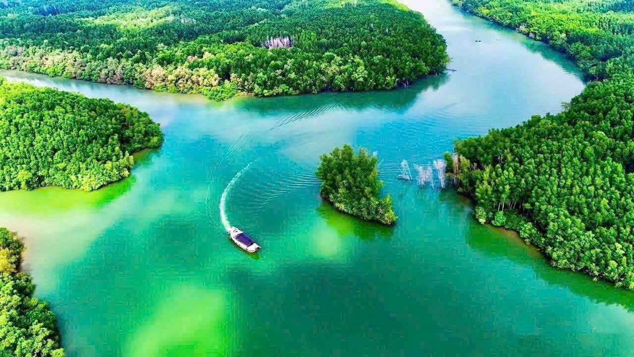 CẦN GIỜ – LÁ PHỔI XANH KHỔNG LỒ CỦA SIÊU ĐÔ THỊ BIỂN